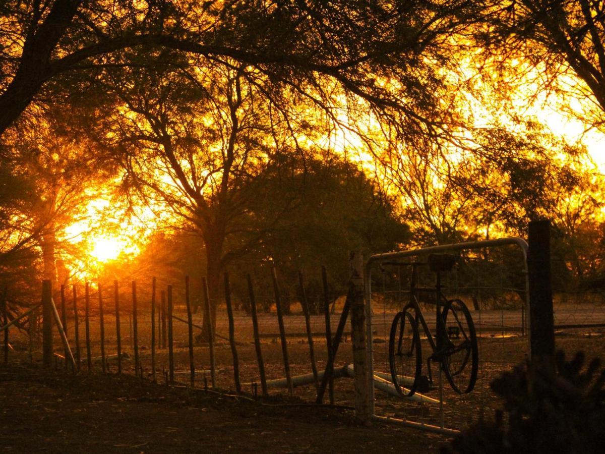 Quaggasfontein Gastehuis Beaufort West Bagian luar foto