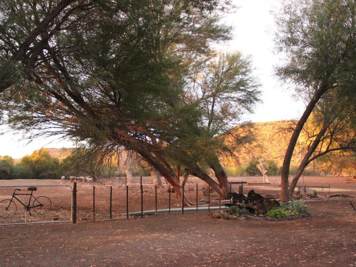 Quaggasfontein Gastehuis Beaufort West Bagian luar foto