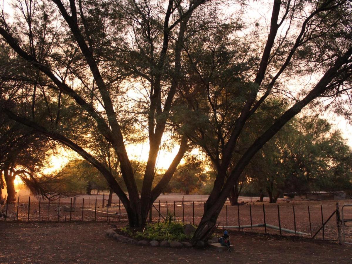 Quaggasfontein Gastehuis Beaufort West Bagian luar foto